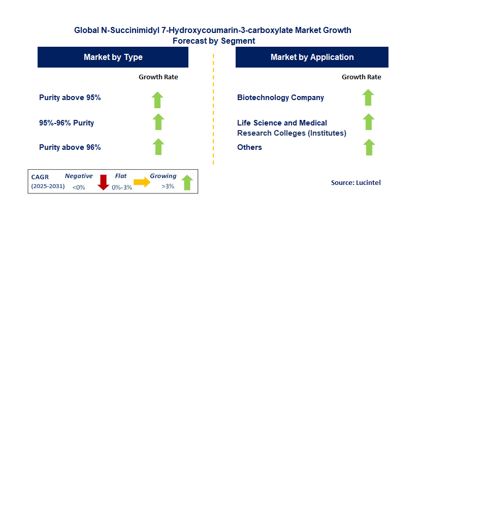 N-Succinimidyl 7-Hydroxycoumarin-3-Carboxylate Market by Segment